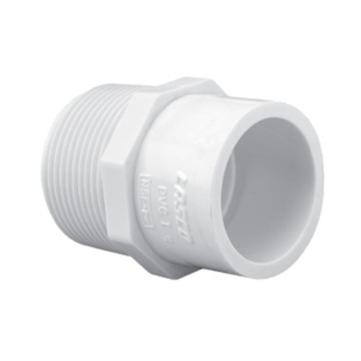 Dura Schedule 40 PVC male reducing adapter slip x MPT