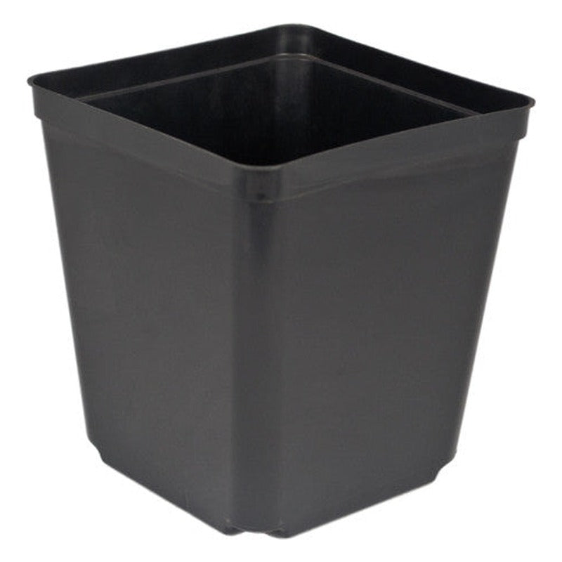 McConkey The Square One 5.5 inch square plastic nursery pot