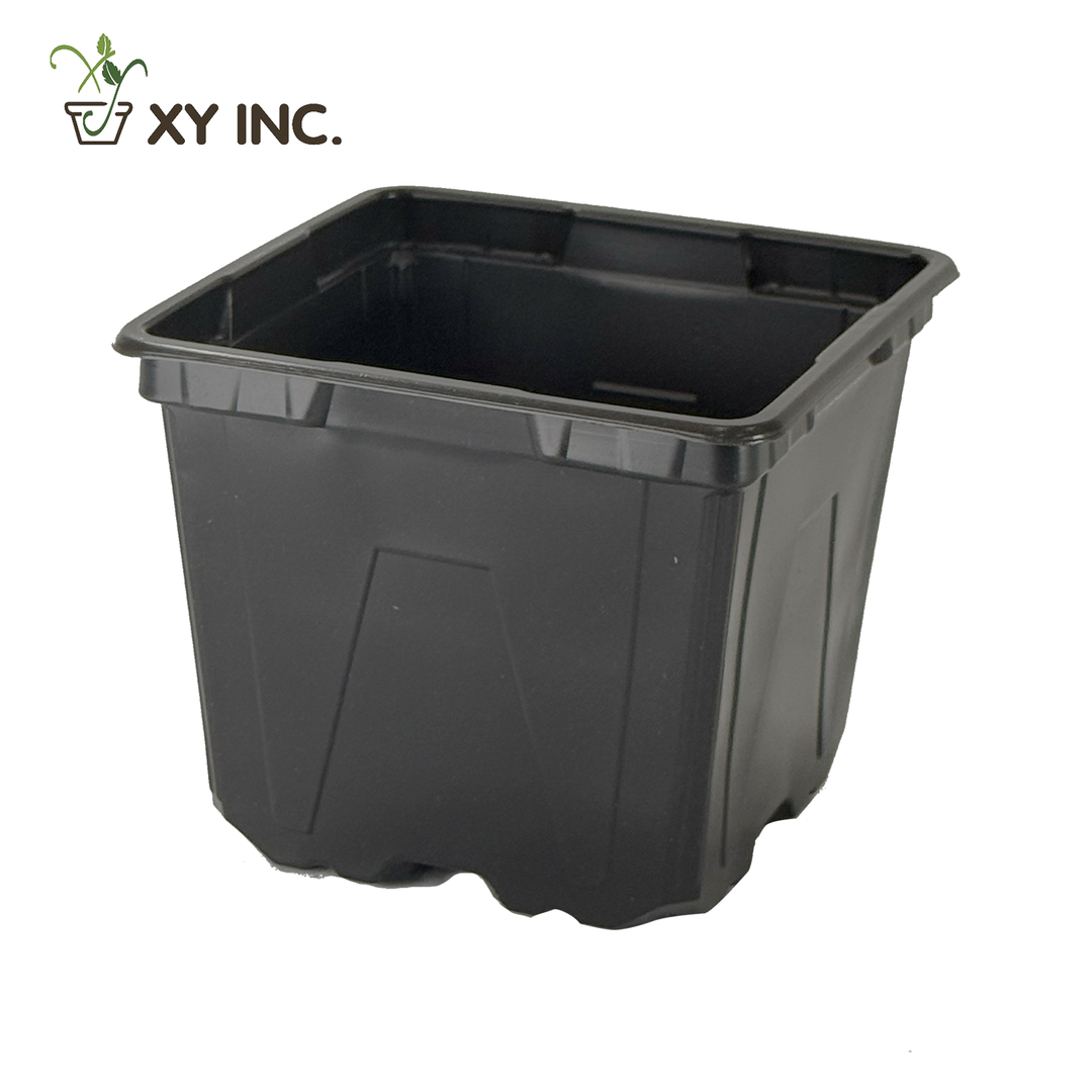 XY 4 inch black square pot
