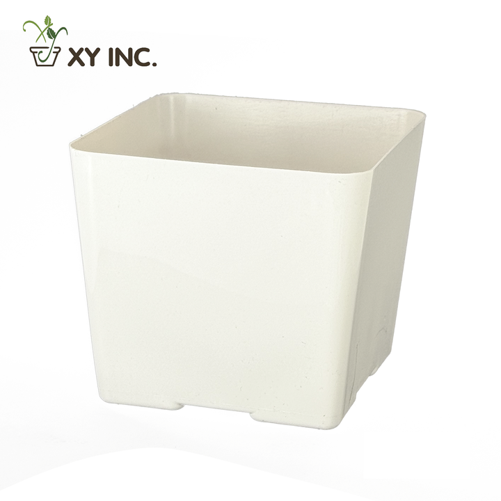 XY 4 inch white square pot