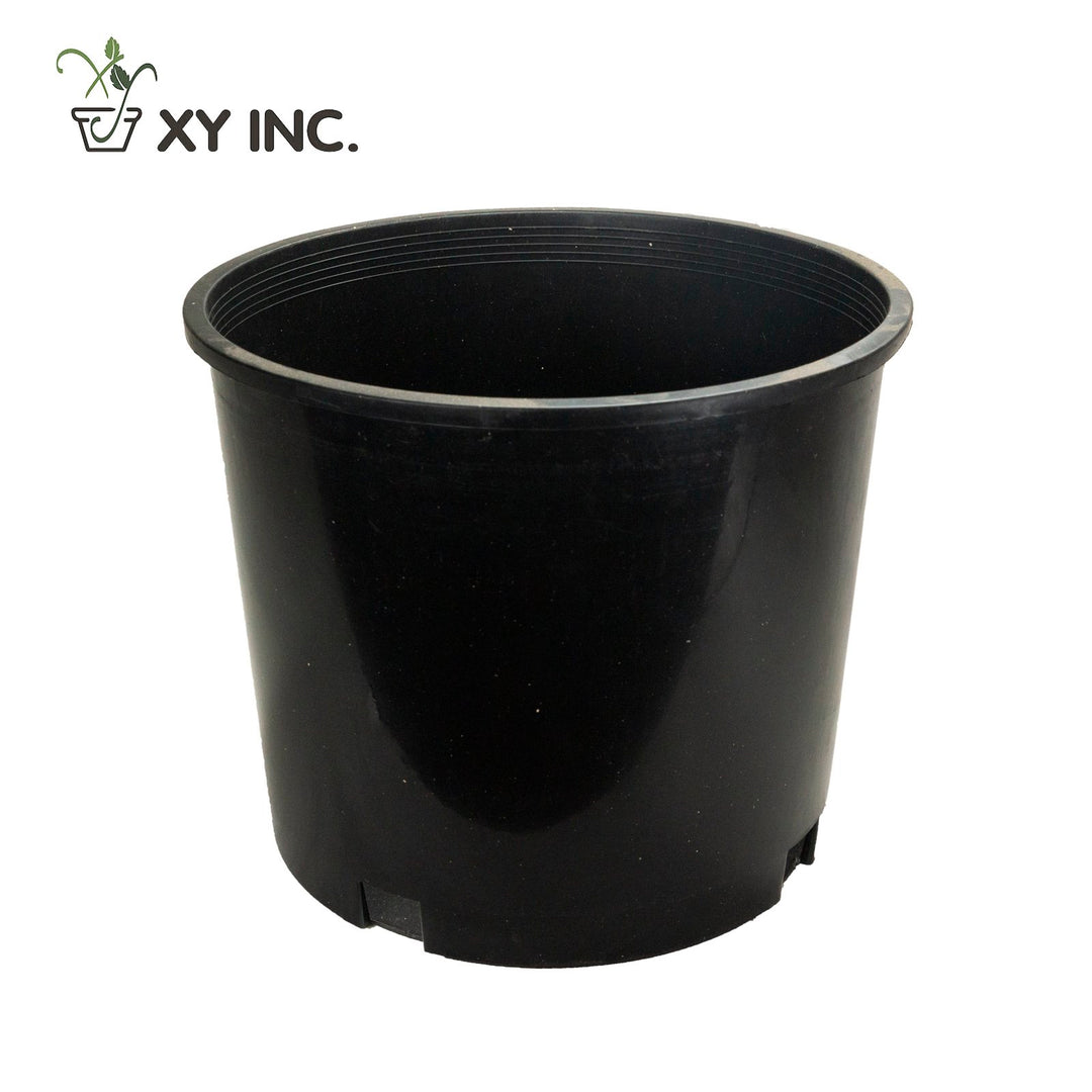 XY 5 gallon squat black plastic nursery pot