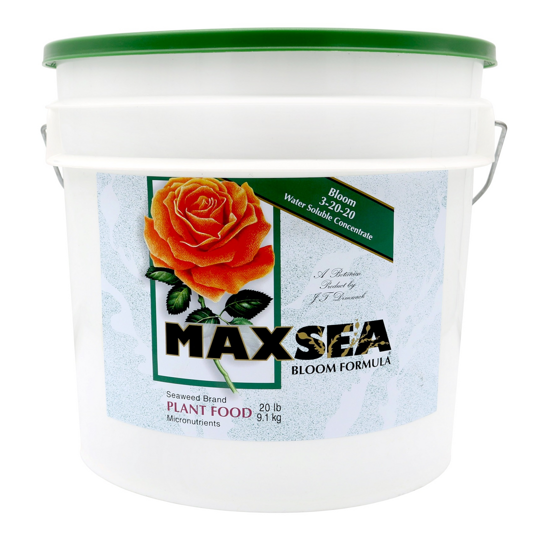 MaxSea Bloom - 20 lb