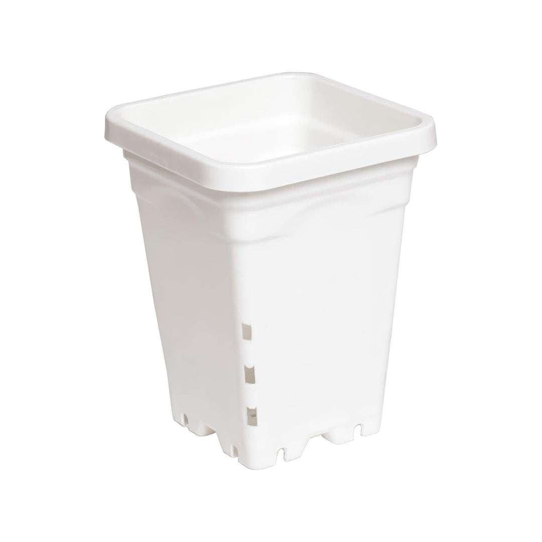 Active Aqua 5 inch square white pot