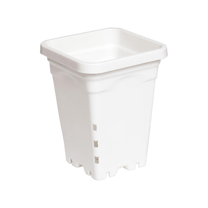 Active Aqua 5 inch square white pot