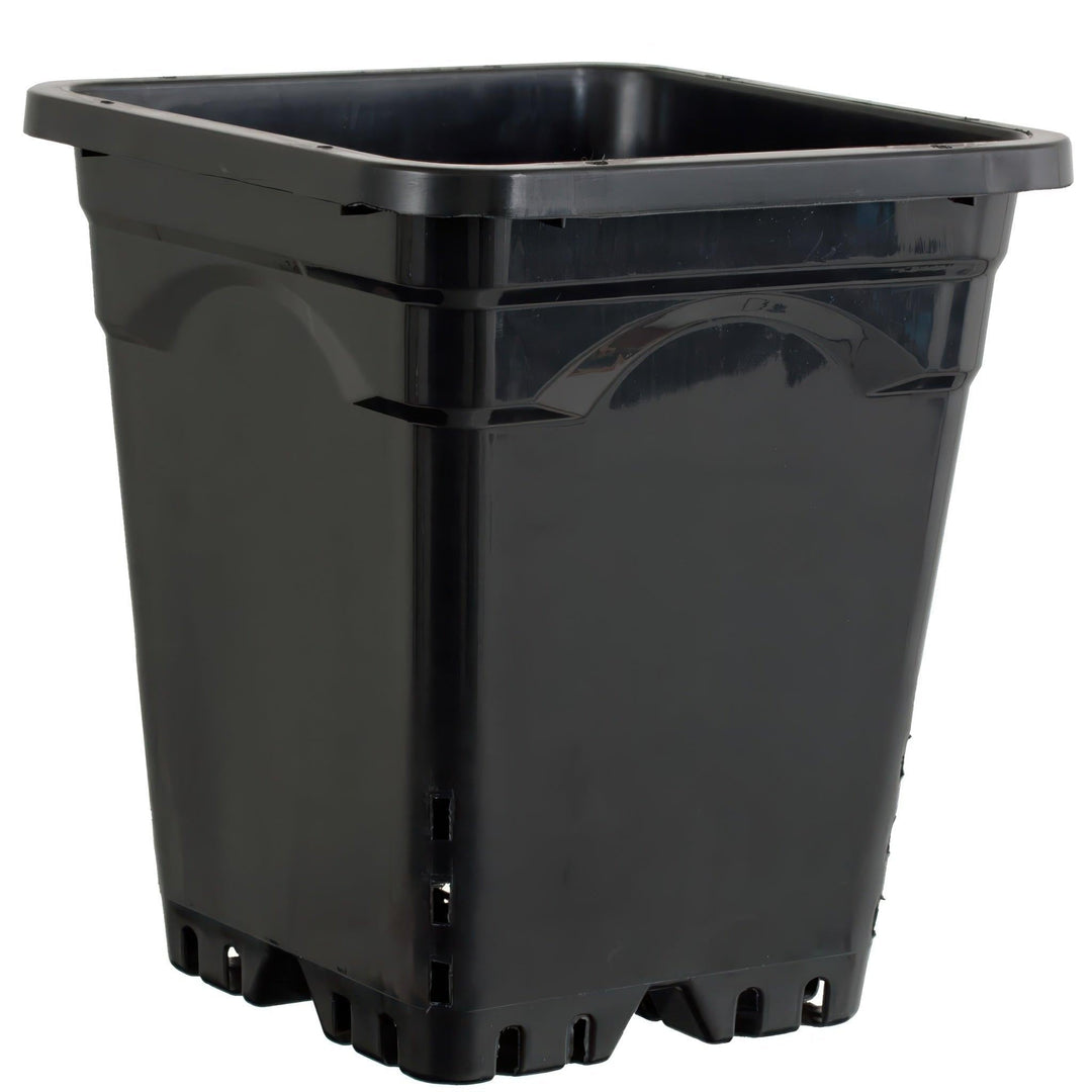 Active Aqua 9 inch square black pot