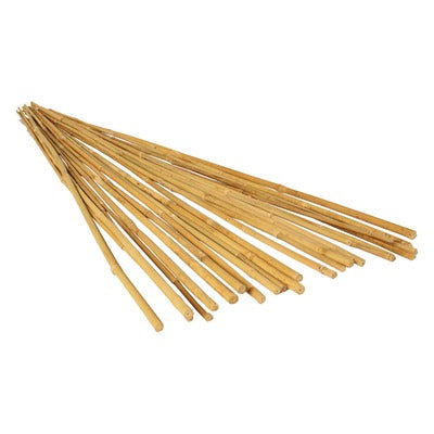 GROW!T natural bamboo stakes, pack of 25