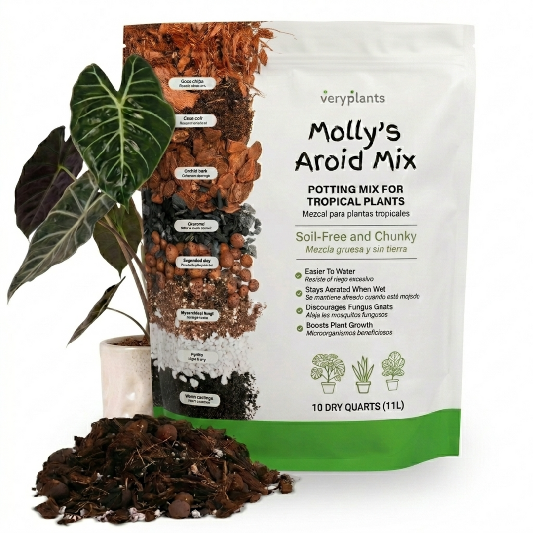 Molly's Aroid Mix 10qt bag
