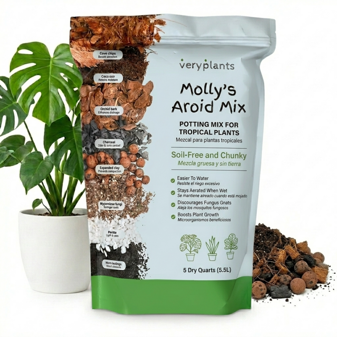 Molly's Aroid Mix 5qt bag
