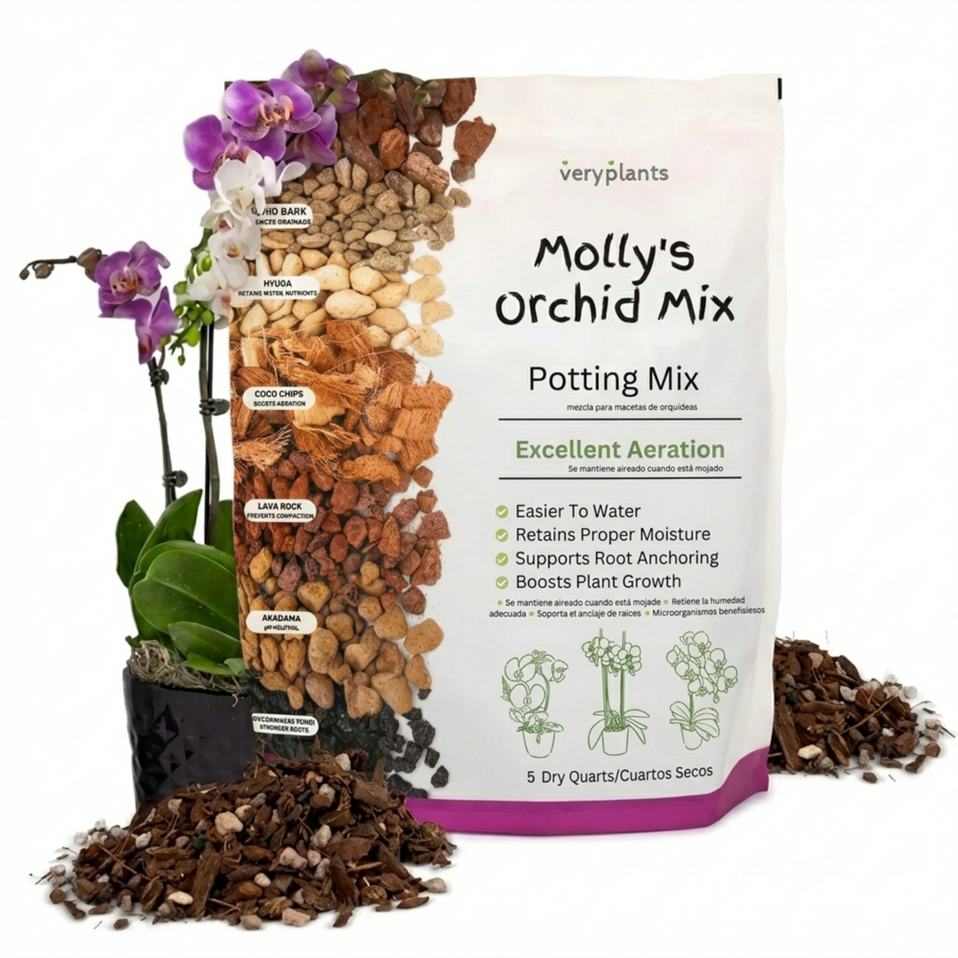 Molly's Orchid Mix 5qt bag