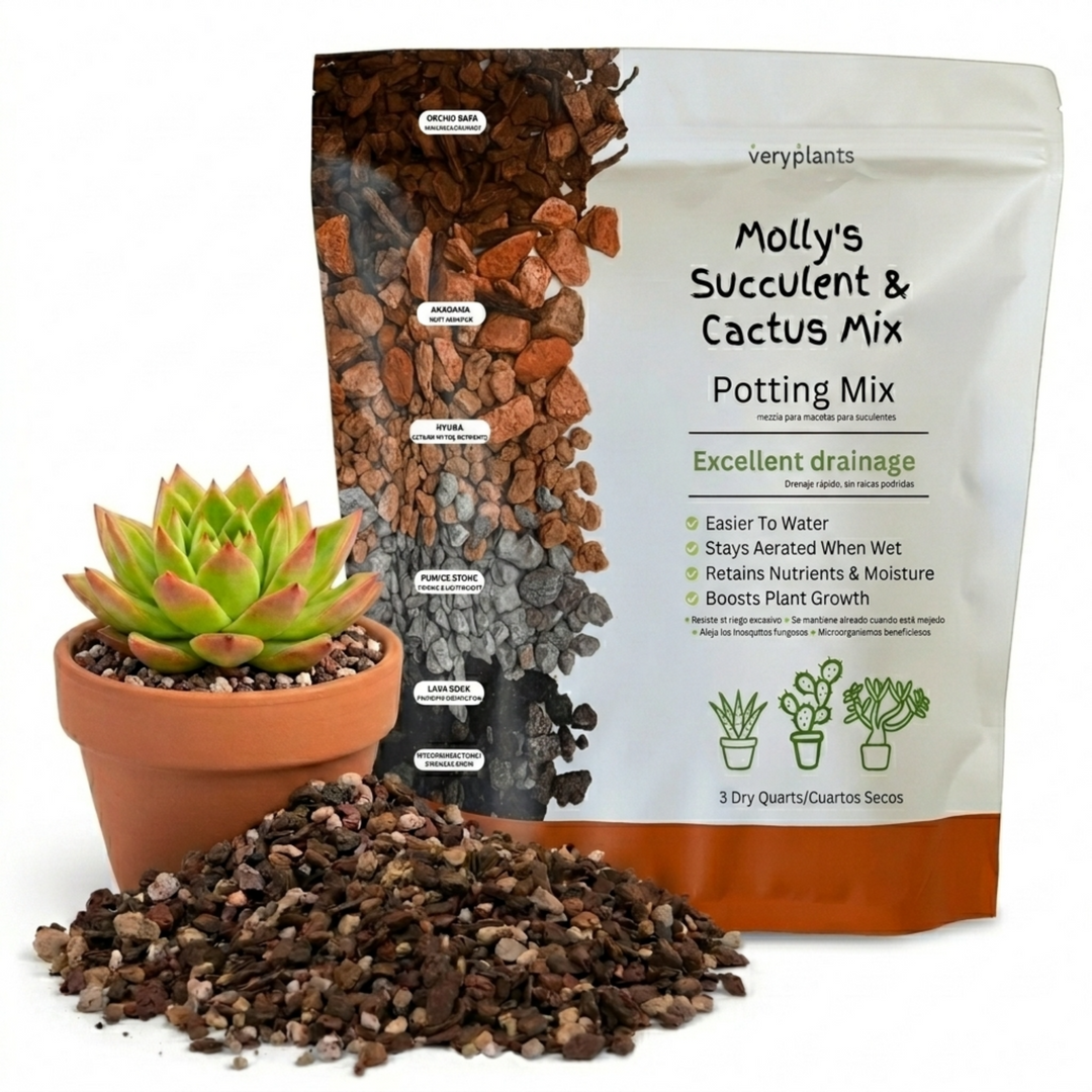 Molly's Succulent Mix 3qt bag