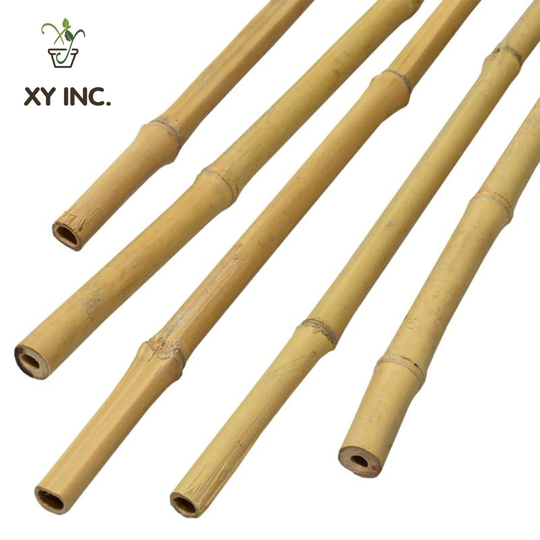 XY natural bamboo stakes