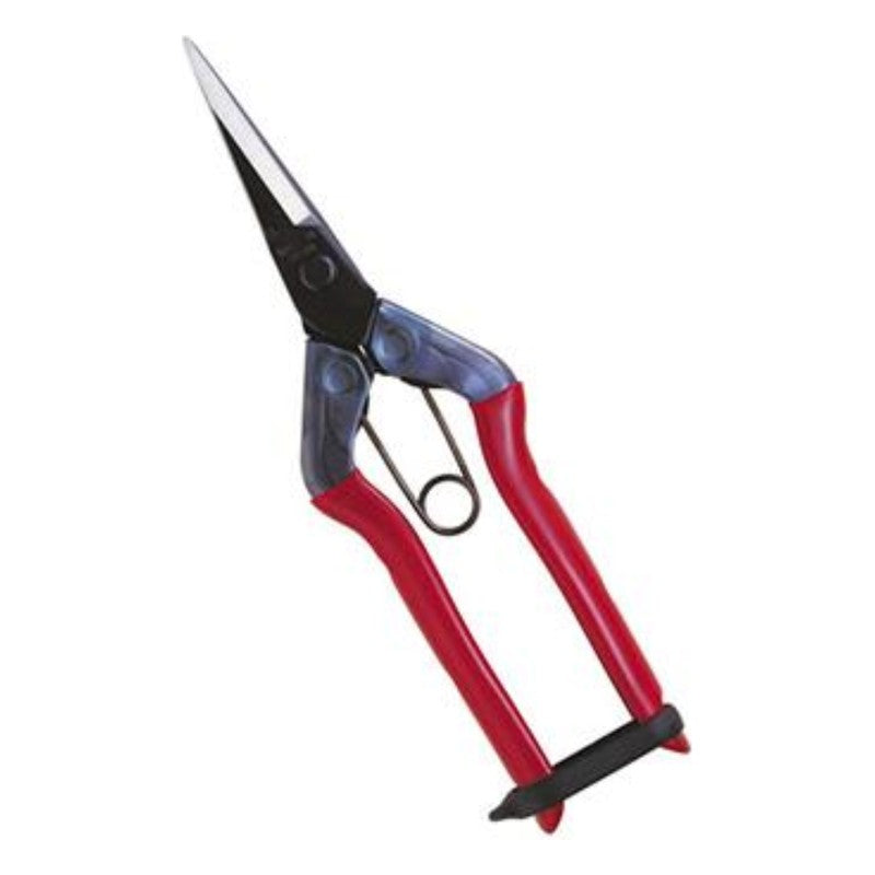 Chikamasa T-550 garden scissors