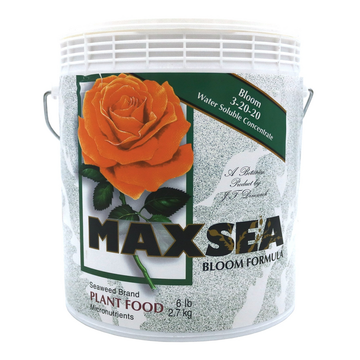 MaxSea Bloom - 6 lb