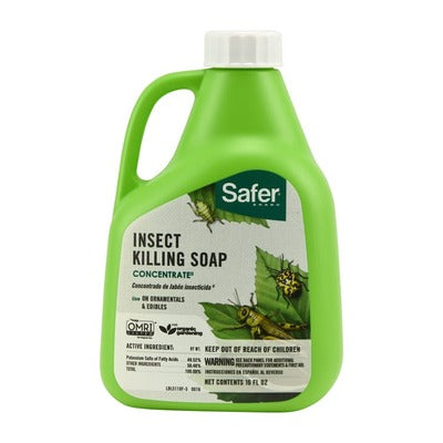 Safer Brand Insect Killing Soap II Concentrate, 16 Ounces