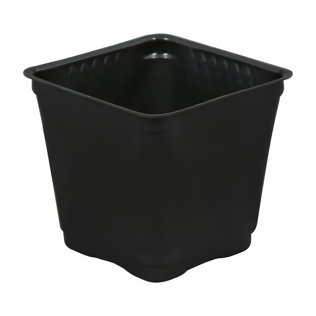 Black square plastic nursery pot 3.5 inch