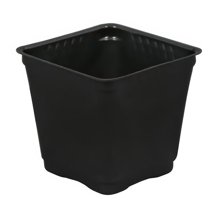 Black square plastic nursery pot 3.5 inch