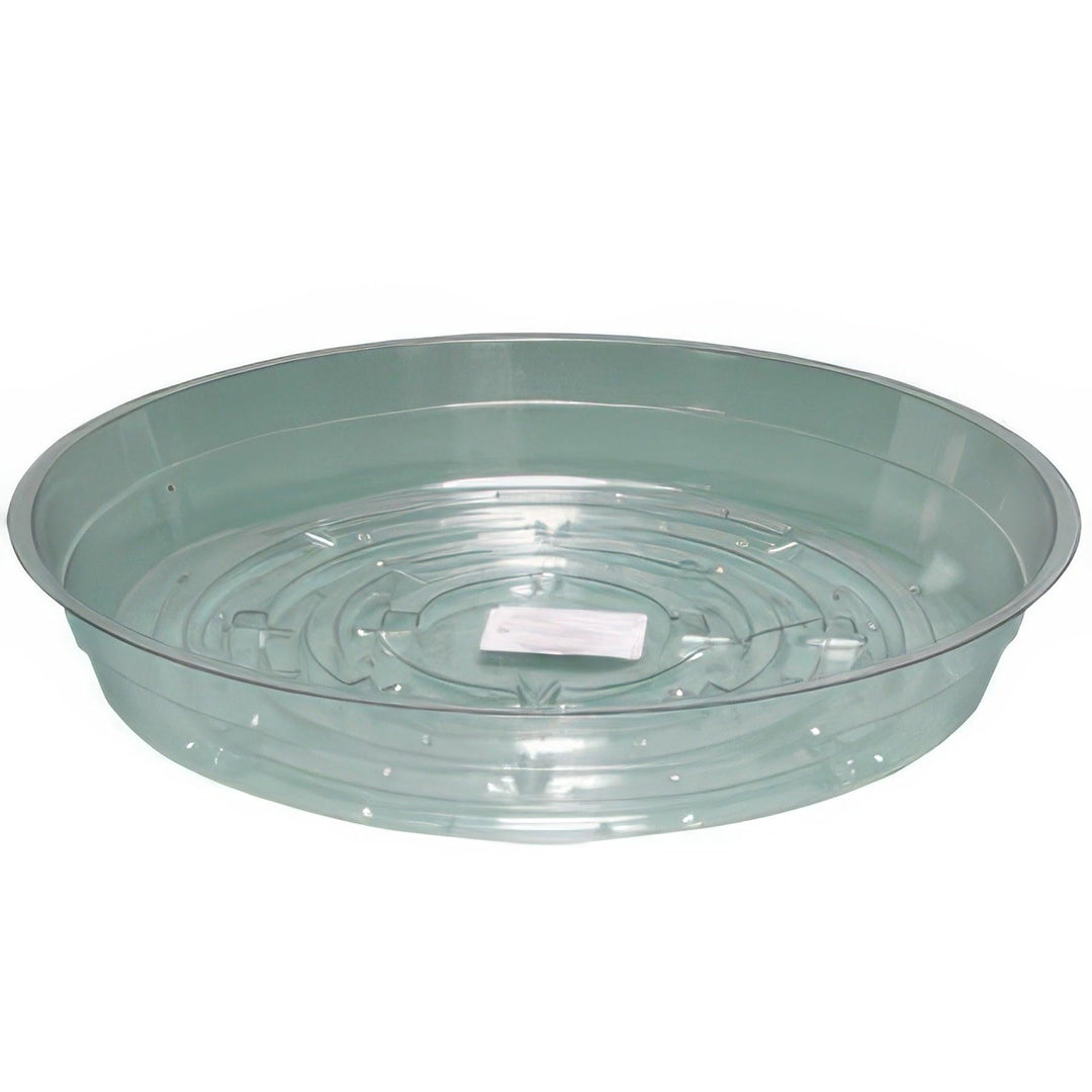 Hydrofarm clear plastic saucer 6 inch