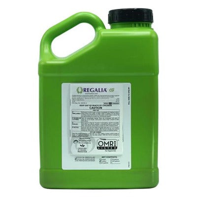 Regalia 1 Gal. gallon