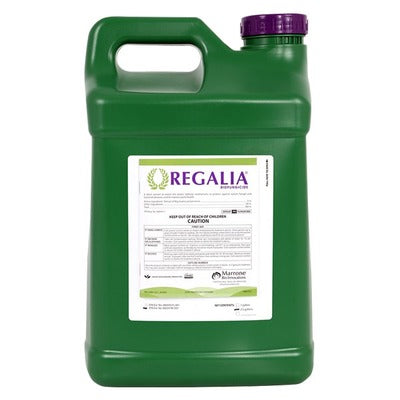 Marrone Bio Regalia Biofungicide, 2.5 Gallons
