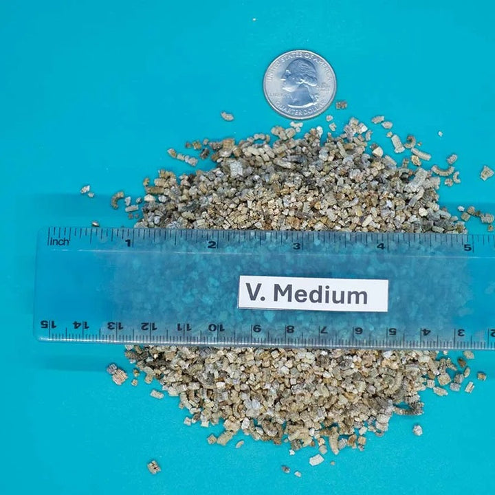 NorCal horticultural vermiculite, medium grade, with ruler for scale