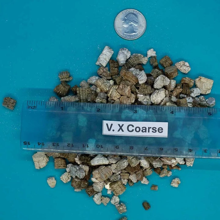 NorCal horticultural vermiculite, extra coarse grade, with ruler for scale